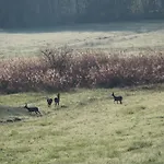 Unser Schwalbennest Stegaurach